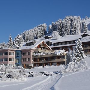 Ferien- Und Familienhotel Alpina Adelboden